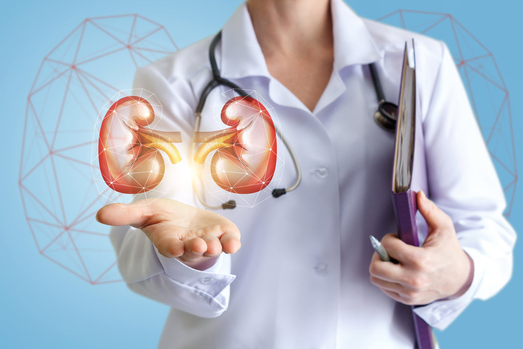 Maintaining a healthy Kidney for better Lifestyle